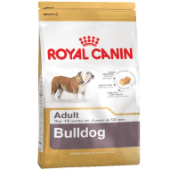 Bulldog Royal Canin